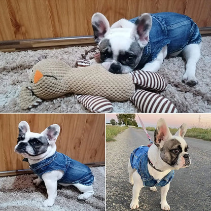 Sphinx Cat Clothes for Small Medium Large Cats, Dark Washed Cat Jeans Jacket Spring Autumn Denim Coat Cat Costume Pet Apparel