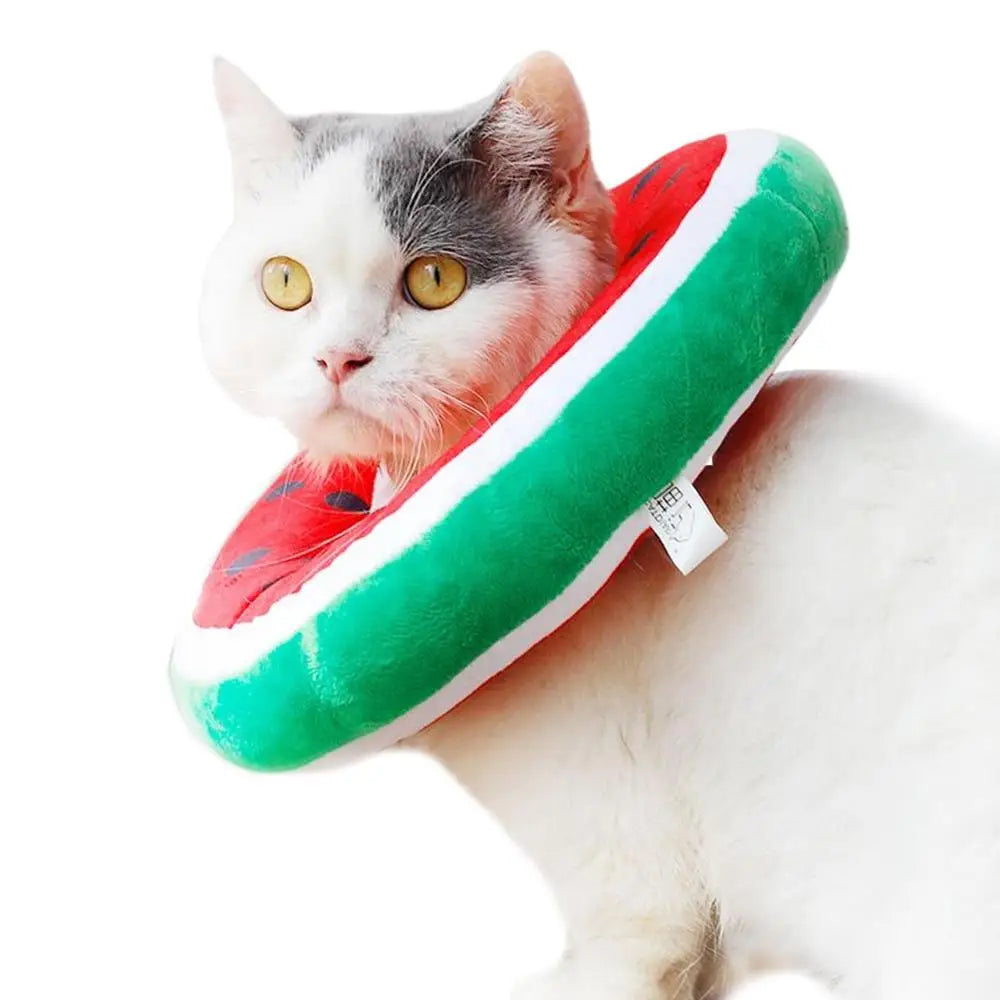 Cat Recovery Collar Protective Cute Collar After Surgeries Soft Adjustable Elizabethan Collars For Kitten Small Dogs