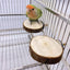 Natural Wood Pet Parrot Raw Wood Fork Tree Branch Stand Rack Squirrel Bird Hamster Branch Perches Chew Bite Toys Stick Supplies