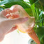 High quality automatic flower waterer plant waterer self watering water balloon bird shaped hand blown plastic water balloon