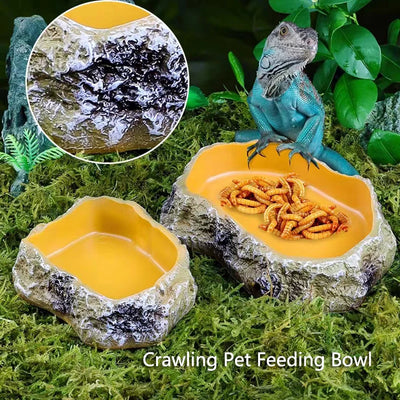 Pet Reptile Feeder Bowl Resin Aquarium Basin Food Water Pot Reptile Turtle Tortoise Scorpion Lizard Crabs Feeding Supplies New