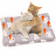 Cozy Cat Calming Blanket Super Soft And Warm Flannel Pet Blankets Soft And Warm Machine Washable Sleeping Mat For Dogs Cats Cold