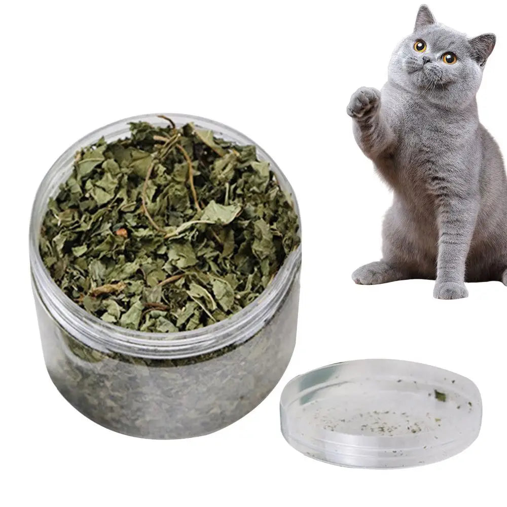 Catnip Organic 100 Natural Premium Cattle Grass Non-toxic Interactive Funny Cat Toy Healthy Safe Catnip Pet Toys Nepeta Cataria