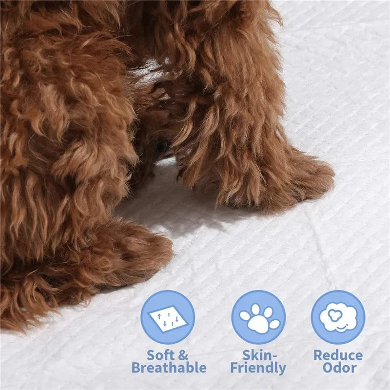 Pet Dog Disposable Diapers Mat Panties Absorbent Training Pee Floor Towel for Dogs Cat Nappies Puppy Physiological Supplies Pads