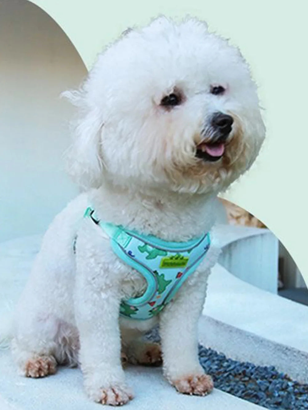 Outdoor Puppy Dog Walking Harness and Leash Set for Small Dogs Reflective Pet Harnesses Chihuahua Poodle Bichon Cat Accessories