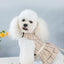 2023New Dog Harness Elegant Comfortable Breathable Pet Dress Collar For Small Dogs Fashion Lovers Vest Dog Harness and Leash Set