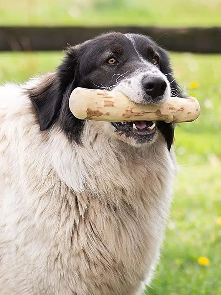 Dog Teeth Grinding Natural Coffee Wood Chewable Stick Teeth Cleaning Wooden Chewing Toy Calming Teething Toys Pet Supplies