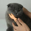 Cat Novelty Toys Teasing Cat TPR Soft Finger Gloves Funny Mini Hands Creative Finger Toys Fake Hand Cat Interactive Toys
