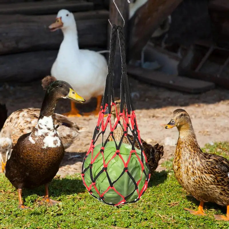 Chicken Vegetable Feeder Poultry Vegetable Feeder Hang Holder Chicken Feeder To Hang Chicken Treat Feeding Tool With Hook