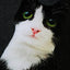 50cm Cute Lifelike 3D Cat Dog Plush Toys Stuffed Soft Animal Doll Simulation Sleep Pillow Sofa Cushion Home Decor Gift
