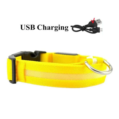 LED Dog Collar USB Rechargeable - Bright & High Visibility Lighted Glow Collar for Small Medium Large Breeds Pet Night Walking