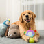 Squeaky Pet Toys Dog Plush Sound Chew Toys Bbiscuit Shape Animal Squeaky Dog Chewing Toy Plush Dog Toys Puppy Chewing Sound Toy