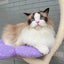 Cat Climbing Frame Big Cat Claw Tree Nest Tower Sisal Grinding Claw Rod Removable Washable Pet Entertainment To Rest Products