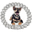 15MM Bling Jewelry Diamond Luxury Dog Chain Collar Cuban Gold Chains for Dogs and Cats Necklace