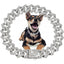 Diamond cats Dogs Necklaces Chain Collar 15MM wide Luxury Jewelry Necklace Cuban Gold Chains for Dogs and Cats