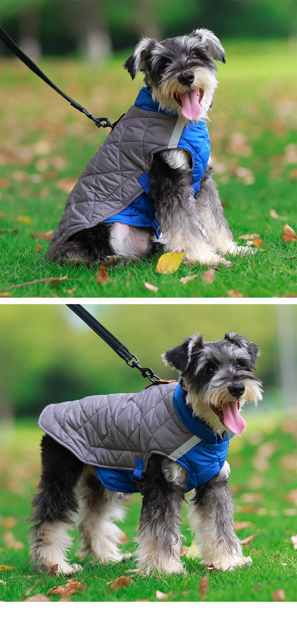 Winter French Bulldog Pet Coat Jacket for Medium Large Dogs Warm Thicken Big Dog Clothes Husky Samoyed Shiba Inu mascotas perros