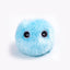 Smart Interactive Ball Cat Toys Automatic Bouncing Rolling Ball Cat Mint Ball Sound Grinding Bite Resistant Cat and Pet Products