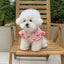 Puppy 2024 Clothes Cotton Girl Dog Undershirt Summer Dog Cooling Vest Dog Strawberry Shirt Chihuahua Bichon Apparel Dog Clothing