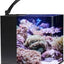 Table Curvedcurved Saltwater Marine Fish Tank Aquarium
