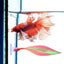 Fake Silicone Betta Fish Leaf Hammock, Pad with Suction Cup, Fish Resting Spot, Bed for Tank