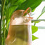 High quality automatic flower waterer plant waterer self watering water balloon bird shaped hand blown plastic water balloon