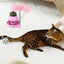 Catnip Ball for Cats Wall Rotatable Cat Licking Balls Edible and Healthy with Spring Ball Cat Licking Balls for Cats Catnip