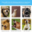 Automatic Dogs Training Collar Ultrasonic Pet Dog Anti Barking Stop Barking Vibration Anti Bark Waterproof Collar Devices Type-C