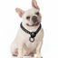 Gold Dog Chain Collar, Large Metal Dog, Medium Link Link, Small Steel, Cuban, Walking, Training
