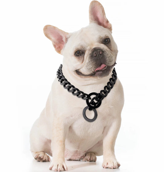Gold Dog Chain Collar, Large Metal Dog, Medium Link Link, Small Steel, Cuban, Walking, Training