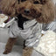 Puppy Pet Dog Clothes Outdoor Windproof Waterproof Leather Dog Coat Winter Warm Padded Jacket for Dogs and Cats in Cold Weather