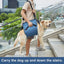 Dog Lift Harness For Large Dogs Adjustable Dog Support Harness Dog Carry Sling For Nail Trimming Dog Carrier For Senior Dogs