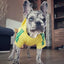 Adidog Pet Sweatshirt Dog Hoodies for Small Medium Dogs, Autumn Winter Fleece Lined Dog Clothes Puppy Chihuahua Coat Clothing