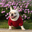 Pet Dog Clothes Knitwear Dog Sweater Soft Thickening Warm Pup Dogs Shirt Winter Puppy Sweater for Dogs Casual Pet Cat Clothing
