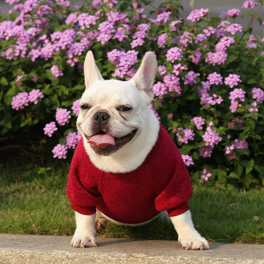 Pet Dog Clothes Knitwear Dog Sweater Soft Thickening Warm Pup Dogs Shirt Winter Puppy Sweater for Dogs Casual Pet Cat Clothing