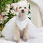 White Dog Wedding Dress Bridal Wedding Costume Puppy Princess Dresses for Small Dogs Luxury Dog Clothes Pomeranian Chihuahua