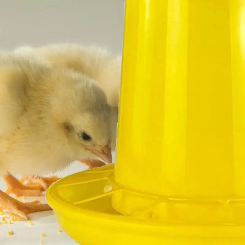 Chicken Feeder Baby Chick Feeder Poultry Feeder with Large Capacity Automatic Chicken Food Dispenser Picnic Table Feeder