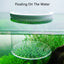 Acrylic Floating Fish Breeding Isolation Box Aquarium Breeder Feeder Fish Tank Hatching Incubator Aquarium Hatchery Accessory