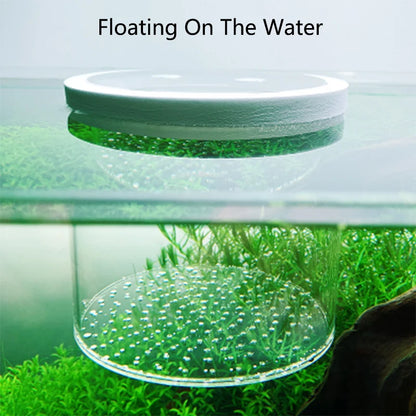 Acrylic Floating Fish Breeding Isolation Box Aquarium Breeder Feeder Fish Tank Hatching Incubator Aquarium Hatchery Accessory