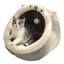 Cat Bed Warm Pet House Kitten Cave Cushion Cat House Round Cat Cushion Cat House 2 In 1 Warm Cats Basket Pet Sleep Bag
