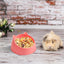 Hamster Feeding Bowl Hamster Food Water Bowl For Rabbit Guinea Pig Small Pets Feeder Dish Pet Food Bowl Supplies