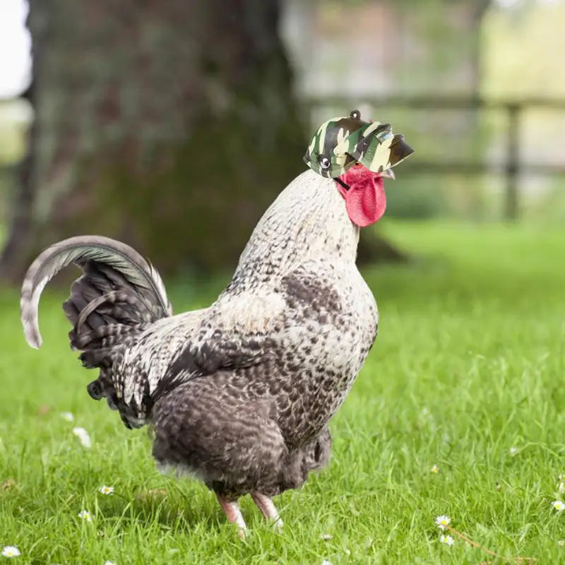 Chicken Helmet Small Pet Hard Hat Funny Chicken Helmet Hen Hard Bird Hat Headgear Protective Pet Helmet Safe Supplies