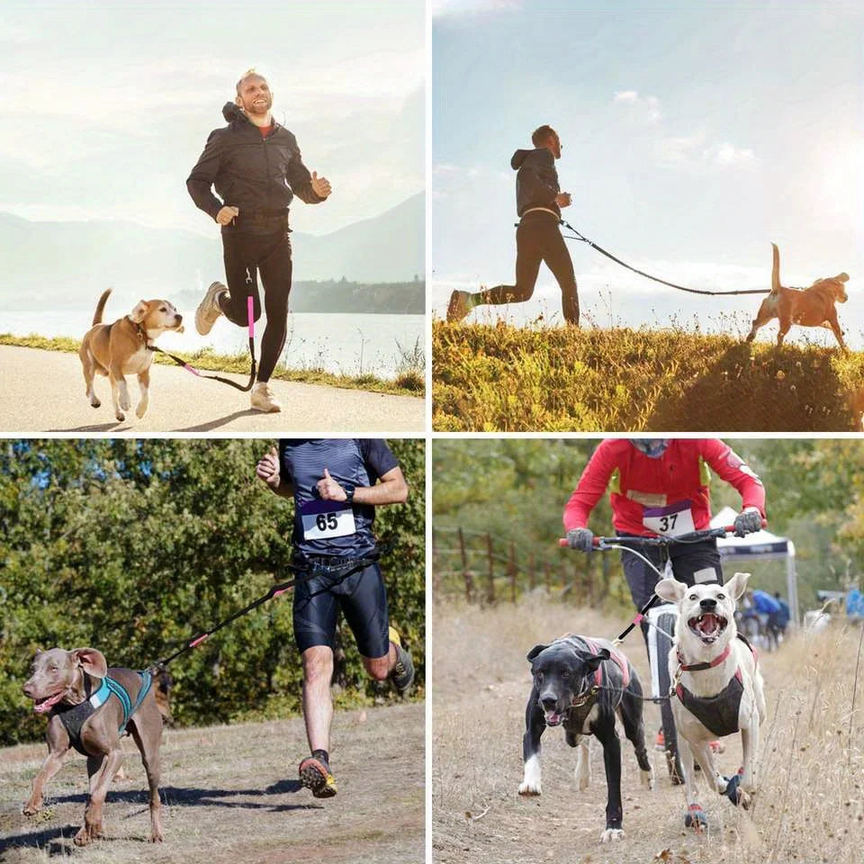 Dog Leash Hands-free With a Waist Bag  Hold Items Harness for Small Breeds Dogs Choker Collar Personalized Nylon Dog Accessories