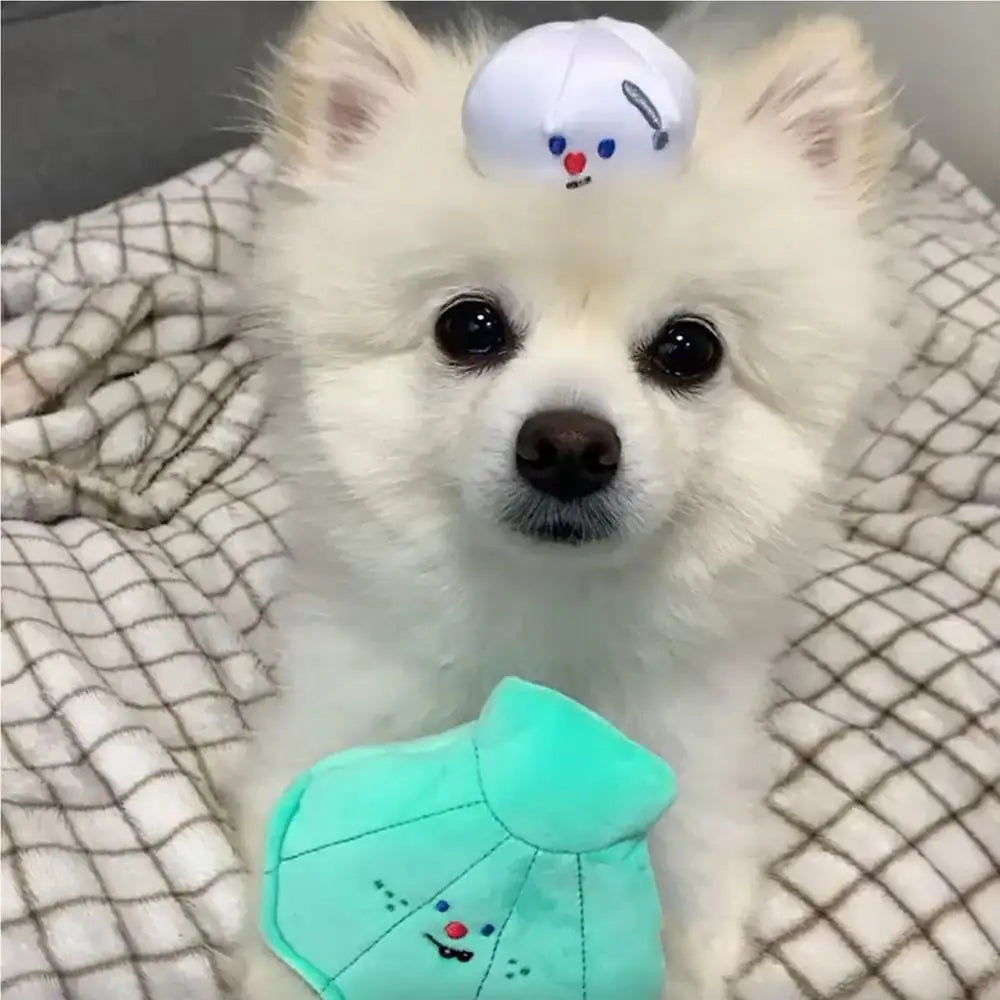 Dog Plush Toy Training Pet Toy Interactive Dog Treat Toy Seashell Pearl Shaped Dog Plushie For Backyard Lawn Pet House Garden