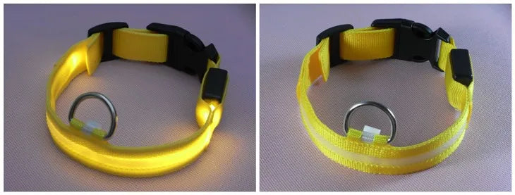 LED Dog Collar USB Rechargeable - Bright & High Visibility Lighted Glow Collar for Small Medium Large Breeds Pet Night Walking