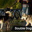 Dog Collars Reflective Dual Leash for 2 Dogs - No Tangle Walking Collar Supplies Nylon Pet Accessories