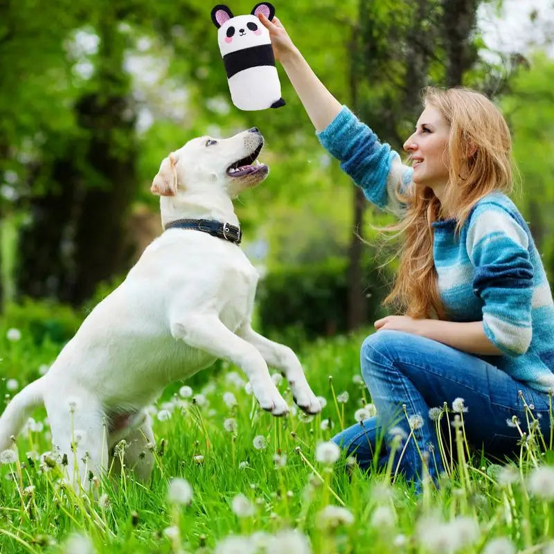 Chew Toys For Dogs Soft Cartoon Plush Dog Teethers Chew Toys Relaxing Sensory Toys Interactive Elastic Pet Toys With Sound For
