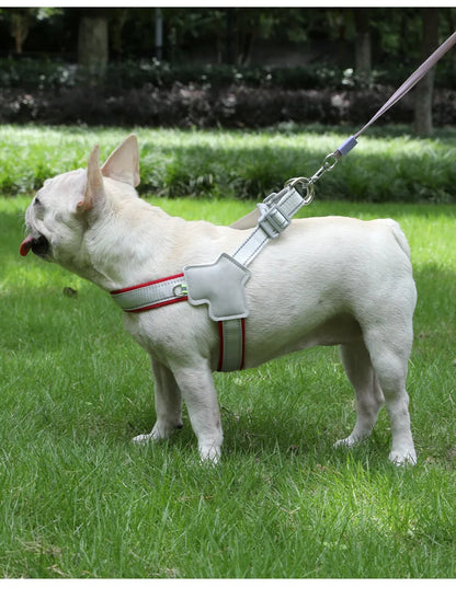 Stock dog leash Y-shaped pet chest strap teddy bichon walking dog leash reflective breathable leash adjustable