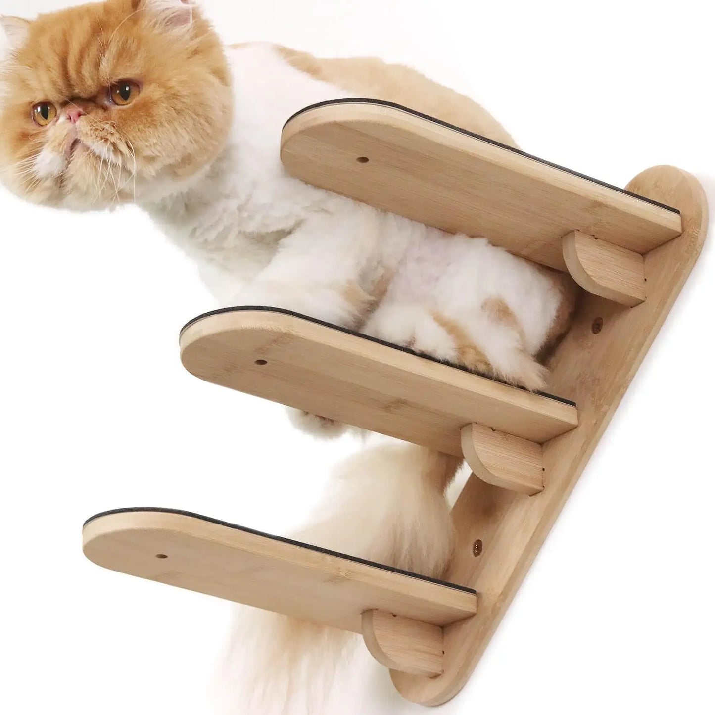 Wall Mounted Climbing Shelves Set Natural Wooden A Cat Hammock with A 3-Layer Ladder Set for Kitten Safe Perch and Play