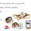Cage for Rabbits and Guinea Pigs CASITA 120H with Rounded Roof, Accessories Included