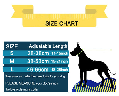 Martingale Heavy Duty Nylon Dog Collar for Small, Medium, Large Breeds Adjustable Safety Training Collar